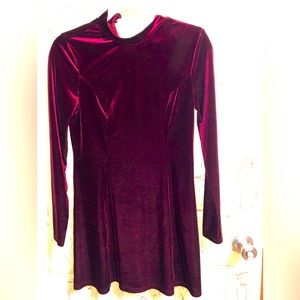 Forever 21 Velvet Dress